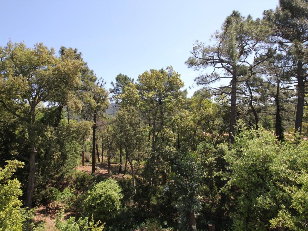 Charming Holiday On A Secured Private Domain With Large Swimming Pool *